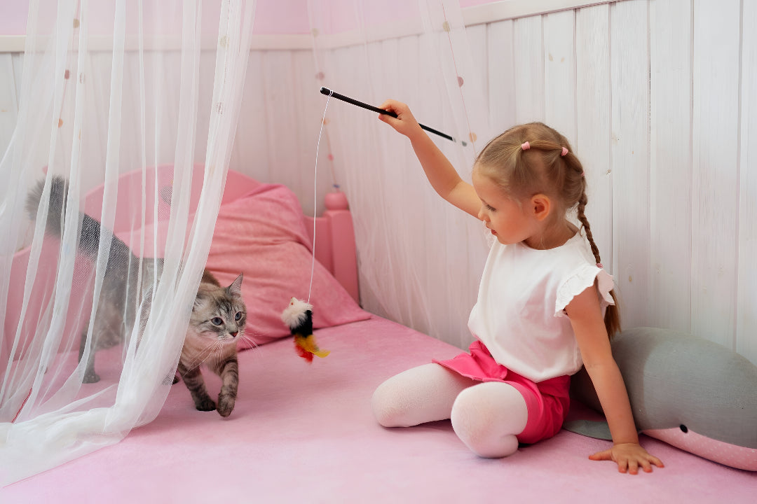 Why Interactive Pet Toys Matter